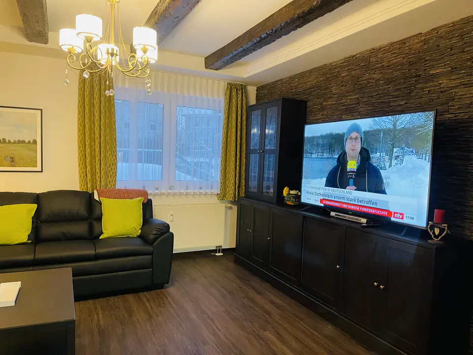 Wohnzimmer mit Fernseher und Ledersofas